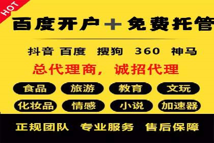 百度推广实战：成功企业的营销策略